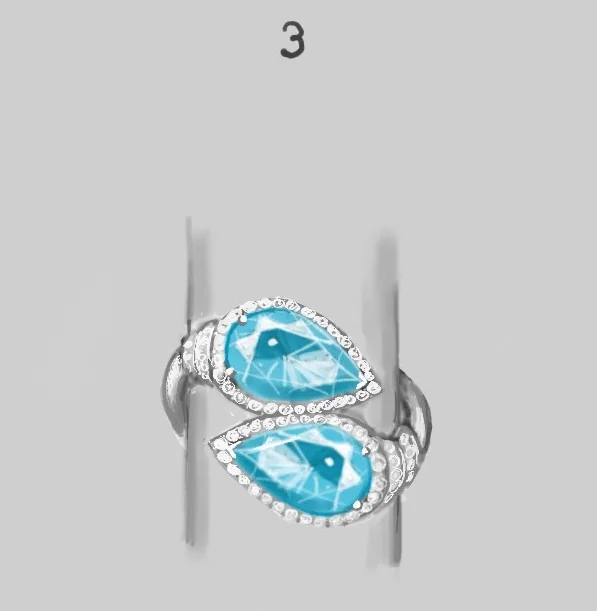 Preparatory rendering of the ring